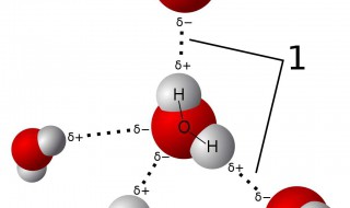 什么是氢键 什么是氢键的饱和性和方向性
