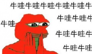 基金牛蛙什么梗