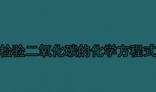 检验二氧化碳的化学方程式 实验室制取二氧化碳的化学方程式