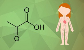 丙酮酸化学式（丙酮酸的化学名称）