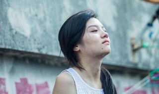 踏雪寻梅到底讲了什么（踏雪寻梅主要讲什么）