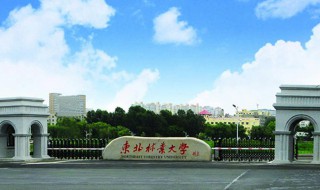 东北林业大学是985还是211（东北林业大学是985还是211学校）