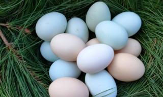 乌鸡蛋是什么颜色 乌鸡蛋和土鸡蛋哪个更有营养