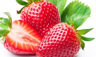 奶油草莓和普通草莓的区别（奶油草莓和普通草莓的区别图片）