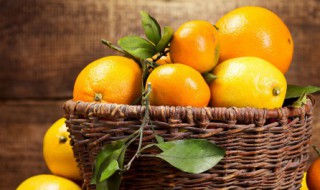 橙子加盐蒸的做法 橙子煮水喝能治咳嗽吗