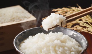 没有电饭锅怎么蒸米饭（电饭煲怎么预约蒸米饭）