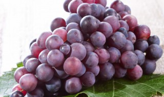 葡萄吃不完怎么保存 葡萄的保存最佳方法