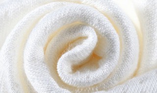 棉和聚酯纤维哪个好 聚酯纤维和纯棉面料哪个好