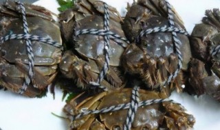 死海蟹怎么保存才新鲜（死海蟹能冷藏保存吗）
