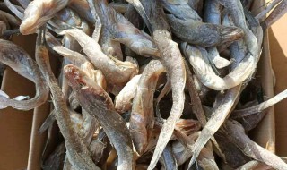 半干咸鲅鱼怎么做好吃 咸鲅鱼的做法 最正宗的做法