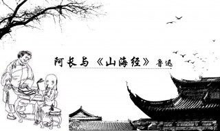 阿长与山海经概括200字（阿长与山海经情节概括）