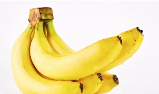 香蕉怎么种出来的 香蕉怎么种出来的种子