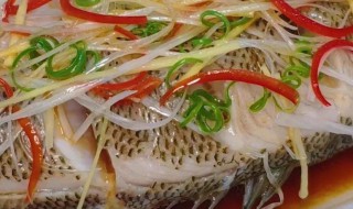 淡水鲈鱼怎么做好吃 红烧鲈鱼怎么烧好吃