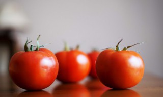普罗旺斯番茄是转基因的吗 普罗旺斯番茄是转基因食品吗