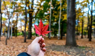 一年四季如何分几个月 一年四季怎么分几个月