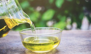 油橄榄果油的功效与作用 油橄榄果油对皮肤的功效与作用