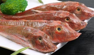 红娘子鱼怎么做好吃（红娘鱼多少钱一斤）