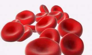 哺乳动物成熟红细胞特点是什么（哺乳动物成熟红细胞有哪些特点）