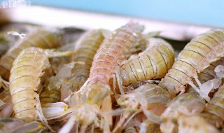 食材皮皮虾做法窍门 皮皮虾做法吃法