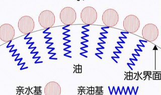 表面活性剂的作用 表面活性剂的作用原理