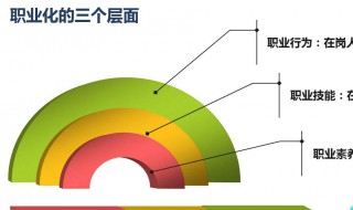 什么是职业化 什么是职业化技能