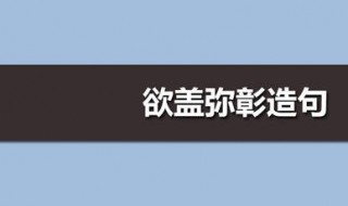 欲盖弥彰造句 欲盖弥彰造句怎么造