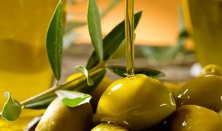橄榄油做菜方法 橄榄油做菜方法视频