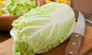 白菜的防腐保存方法 白菜防腐用的什么
