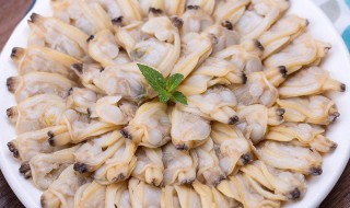活蚬子肉冷冻方法（活蚬子冷冻后能吃吗）