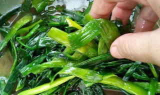 腌大蒜叶的方法和配料（腌大蒜叶的方法和配料视频）