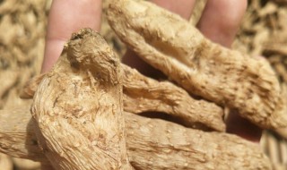 天麻能保存多长时间 天麻保存的时间越久越好吗?
