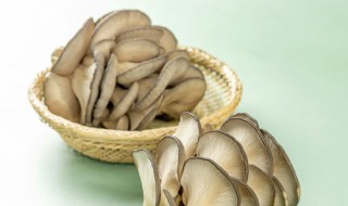 蘑菇泡多久就不能吃了 蘑菇泡多久就不能吃了
