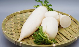 白萝卜冰箱保存好吗（白萝卜放冰箱冷藏能放多久）