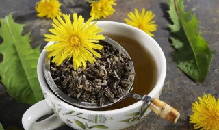 蒲公英茶和蒲公英根茶的区别 蒲公英根茶和蒲公英效果一样吗