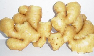 生姜一次用量多少为宜（生姜常用量多少克）