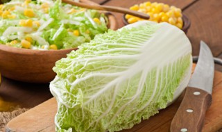白菜怎么保鲜法（白菜怎么保鲜法保存）