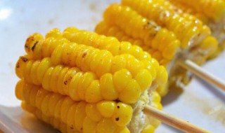 玉米脆脆的是没煮熟吗 玉米脆脆的是没煮熟吗为什么
