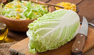 白菜上有虫眼能吃吗 白菜上有虫眼能吃吗有毒吗