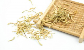 金银花可以抗病毒吗 金银花治什么病最好