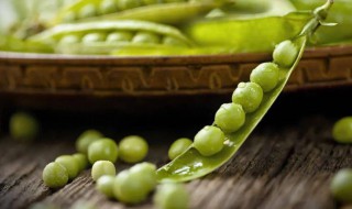嫩豌豆荚怎么保存（嫩豌豆荚怎么保存不会坏）