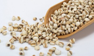 红豆薏米怎么样泡水（红豆薏米怎么样泡水喝效果好）