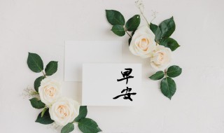 五月早安的说说 五月早安的说说句子