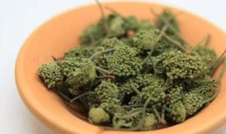 三七花能降高血压吗 三七花对男性性功能