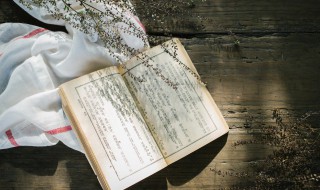斯咏名字含义是什么 斯的寓意是什么意思是什么