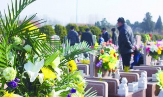清明节扫墓需要买哪些物品 清明节扫墓要买些什么东西