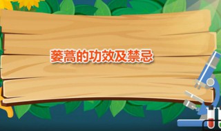 蒌蒿的功效及禁忌 蒌蒿的功效及禁忌是什么