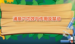 涌泉穴功效与作用及禁忌