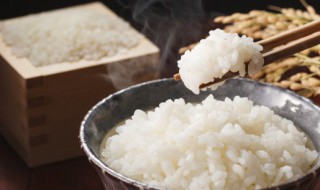 如何制作黄金炒饭 黄金炒饭的制作方法