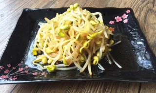 拌黄豆芽 拌黄豆芽凉菜的做法大全家常