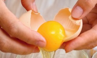 鸡蛋怎么孵化成小鸡（孵化小鸡的技术和方法）